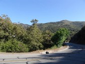 Enlarge photo 55