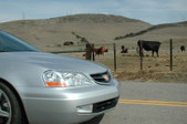 Enlarge photo 51