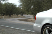 Enlarge photo 55
