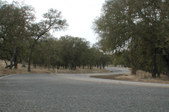 Enlarge photo 57