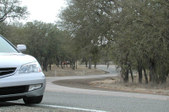 Enlarge photo 59