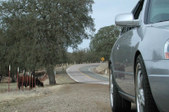 Enlarge photo 65