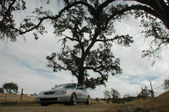 Enlarge photo 69