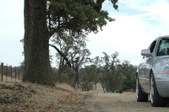 Enlarge photo 71