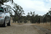 Enlarge photo 72