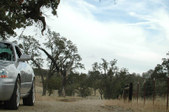 Enlarge photo 73