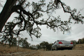 Enlarge photo 76