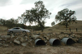 Enlarge photo 80