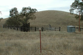 Enlarge photo 86