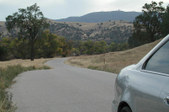 Enlarge photo 103