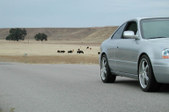 Enlarge photo 111