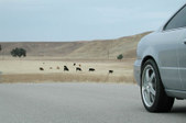 Enlarge photo 112
