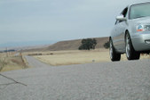 Enlarge photo 114