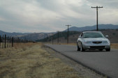 Enlarge photo 119