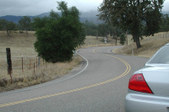 Enlarge photo 127