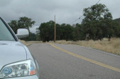 Enlarge photo 129