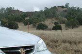 Enlarge photo 131