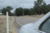 Enlarge photo 132