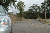 Enlarge photo 133