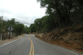 Enlarge photo 134