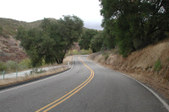 Enlarge photo 135