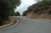 Enlarge photo 137