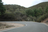 Enlarge photo 138