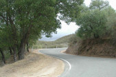 Enlarge photo 139