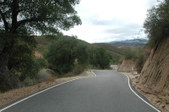 Enlarge photo 141