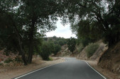 Enlarge photo 143