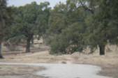 Enlarge photo 147
