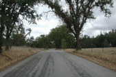 Enlarge photo 149
