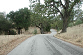 Enlarge photo 150