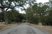 Enlarge photo 151