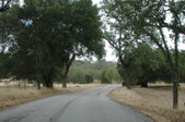 Enlarge photo 152