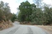 Enlarge photo 153