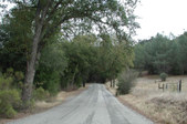 Enlarge photo 157