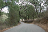 Enlarge photo 158