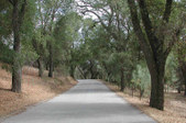Enlarge photo 159