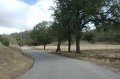 Enlarge photo 160