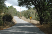 Enlarge photo 161