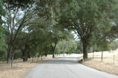 Enlarge photo 162
