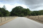 Enlarge photo 163