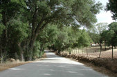 Enlarge photo 164
