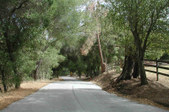 Enlarge photo 165