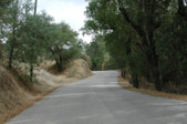 Enlarge photo 166