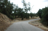 Enlarge photo 168