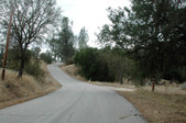 Enlarge photo 169