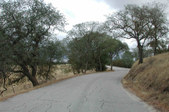 Enlarge photo 171