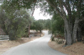 Enlarge photo 173